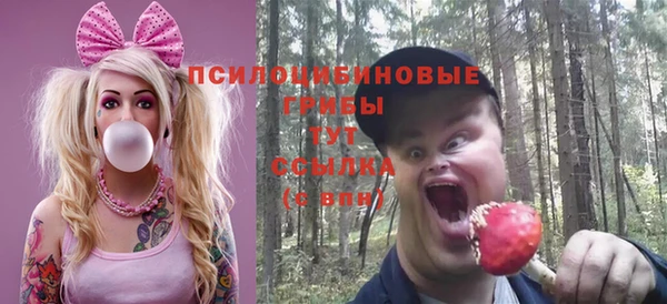 ешки Козловка