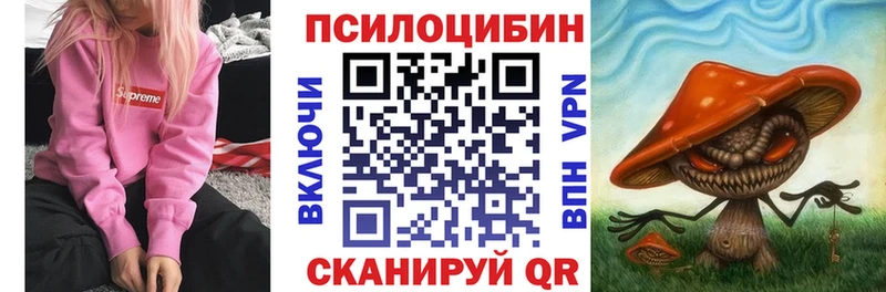 Галлюциногенные грибы Psilocybe  Купить закладки  Великие Луки 
